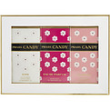 Prada Candy Variety
